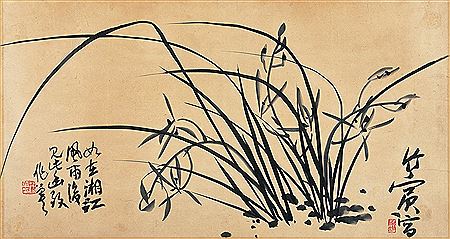 Orchid
