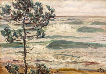 Sea shore