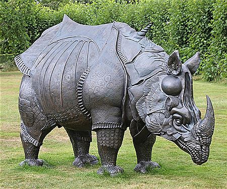 Durer's Rhino