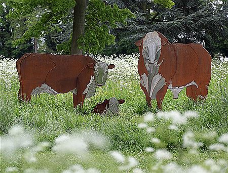 Herefordshire Cattle