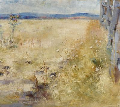 Plough-land in Summer
