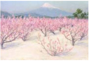 Mount Fuji in Spring