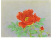 Red Peonies