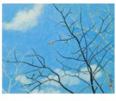 Beginning of Winter