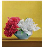 Red and White Flowers
