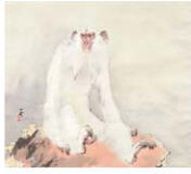 The Old Monkey in White