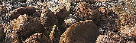 Piedras