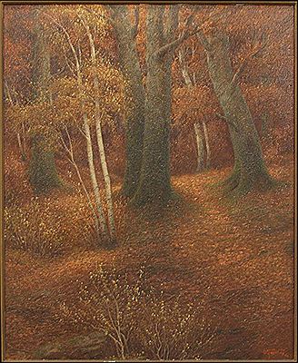 AUTUMN FOREST