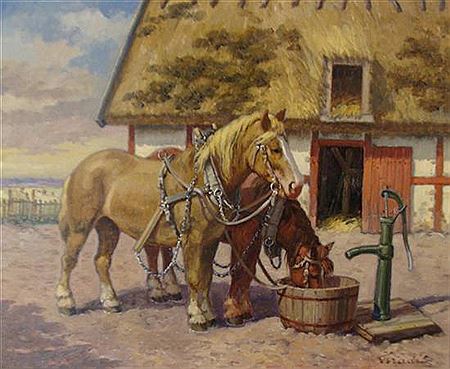 Draft Horses Drinking