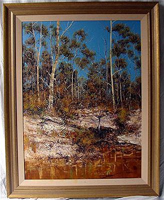 Forest Gums & Wattle