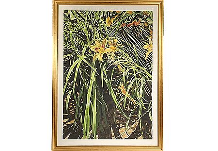 "Tiger Lilies"