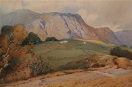 Lakeland landscapes(3)