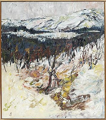 Fjällandskap