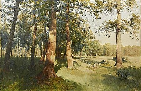 A sunlit meadow