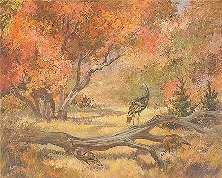 "Texas Turkeys", 1965
