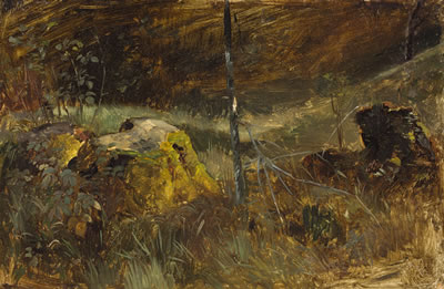 Waldinneres mit Baumstumpf
