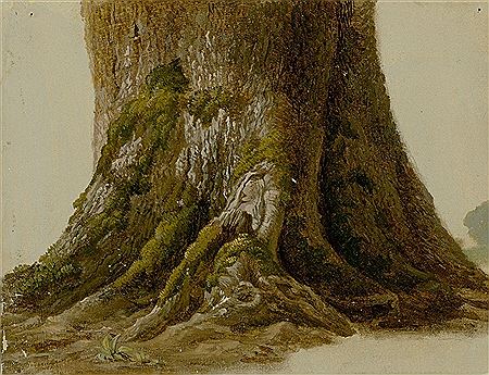 Base of a common maple by Carl Ludwig (Karl) Frommel - Auction record, sale price, and art valuation. Compare with similar artists and explore comparable artworks.