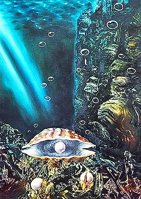 Pearl oyster
