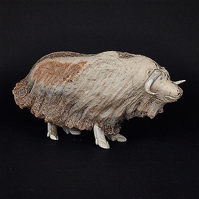 WIND SWEPT MUSK OX