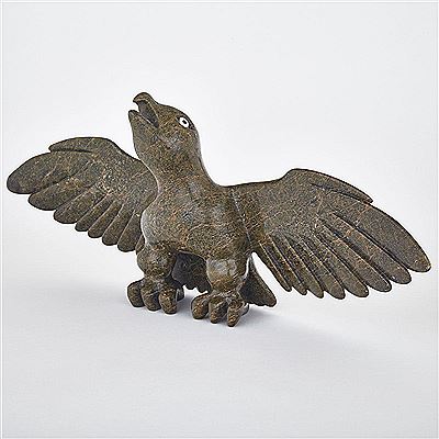 STARTLED BIRD