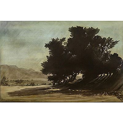 "Large Tree, Field Mountain"