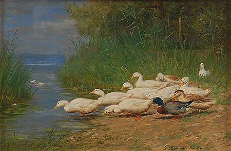 Ducks on the sea