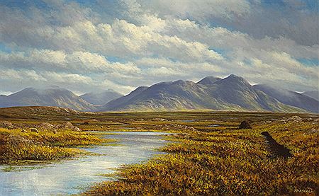 "ROUNDSTONE BOG, 1996"
