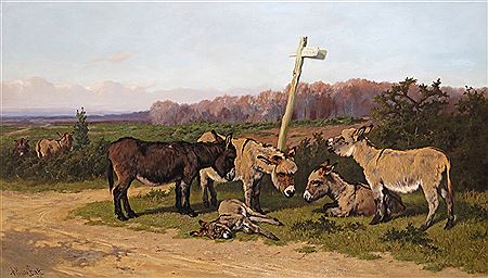 Donkeys in the New Forest