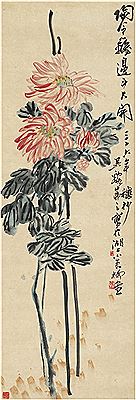 CHRYSANTHEMUM