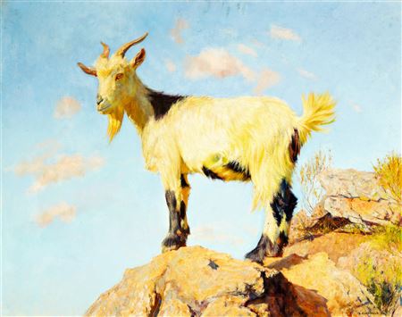Cabra en la sierra