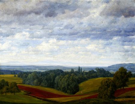 Bruderholzlandschaft mit den Vogesen