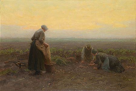 Potato crop by Tony Lodewyk George Offermans - Auction record, sale price, and art valuation. Compare with similar artists and explore comparable artworks.