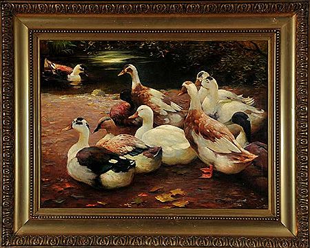 Enten am Seeufer