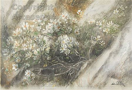 Flowers in the Karst