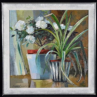 White Gardenia in a pot