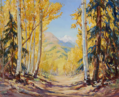 Colorado Aspens