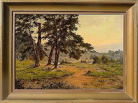 Landscape