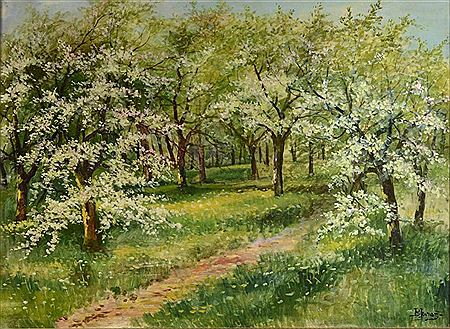 Cherry orchard