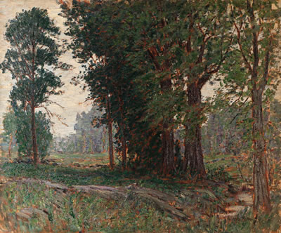 Summer landscape (trees in foreground)