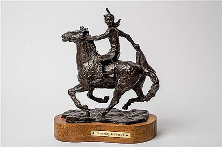 'Stampeding Wild Horses'