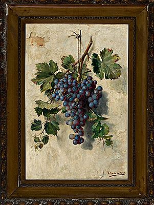 Grapes