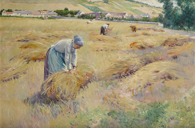 Harvest Time