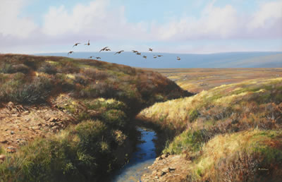 Grouse in Flight
