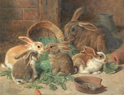 A mother rabbit and her young