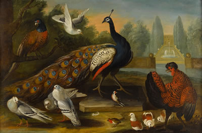 A peacock, a pheasant, a cockerel and other birds in an ornamental garden