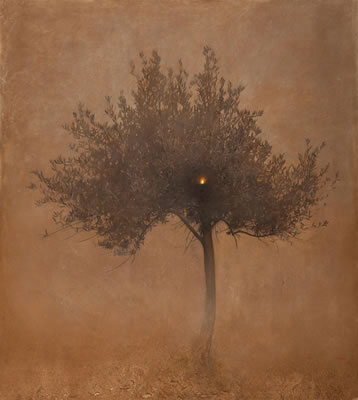 Olive tree - candle