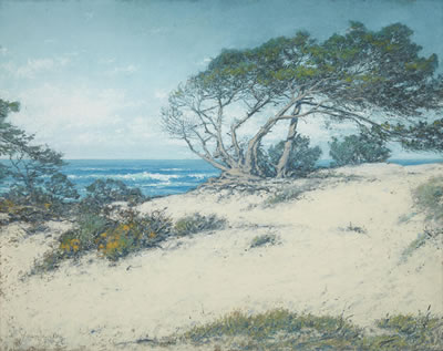 Windswept, Carmel by the Sea