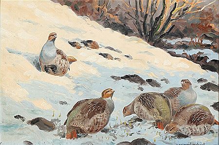 Partridges on a snow-covered slope.