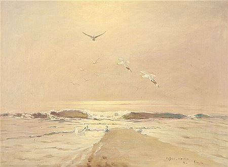 Seagulls at Grenen, Skagen.