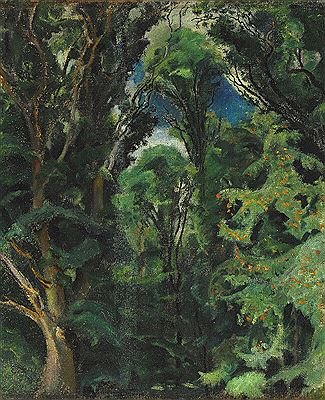 In the Forest